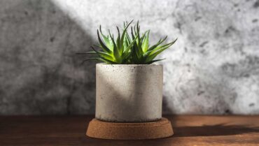 Concrete Pots