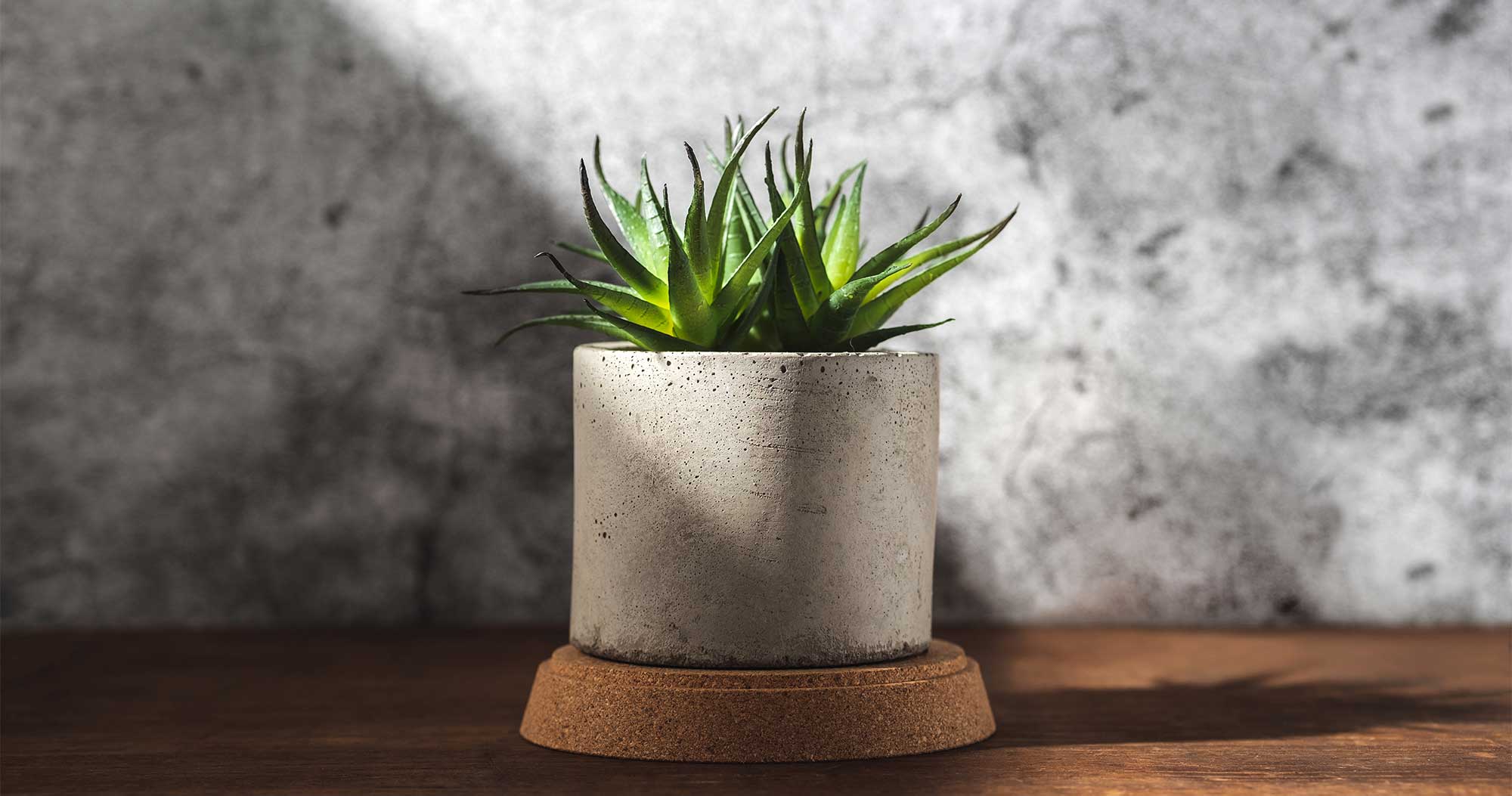 Concrete Pots